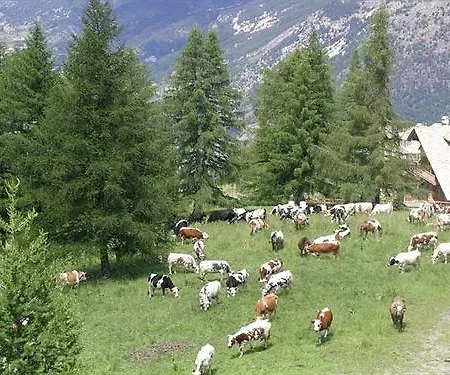Il Capricorno ホテル