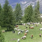 Il Capricorno فندق