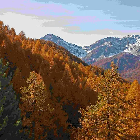Il Capricorno Hotel