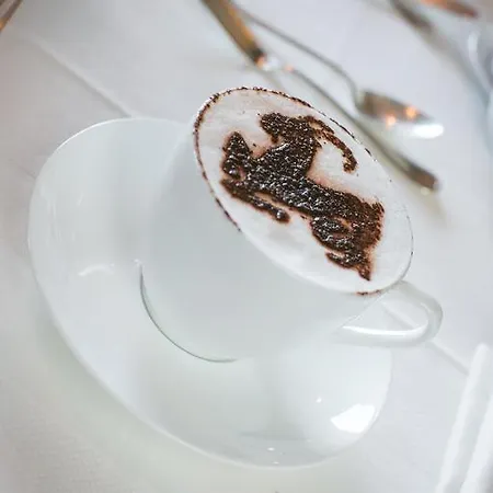 Hotel Il Capricorno 4*