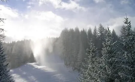 Il Capricorno Otel 4*