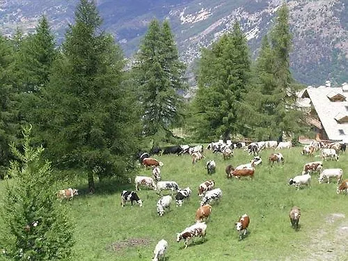 Il Capricorno Hotel